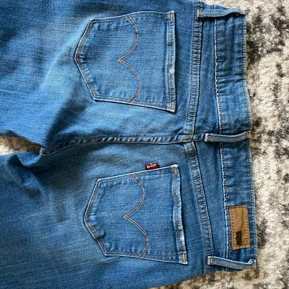 Levi - Picture 2 of 5